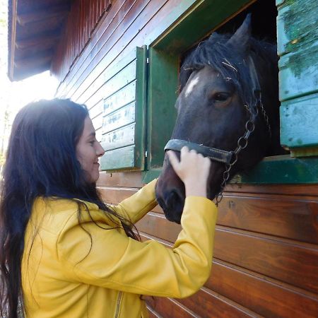 Hostel Baske Ostarije Екстер'єр фото